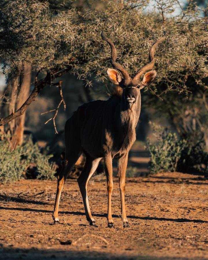 Omaruru Game Lodge Zewnętrze zdjęcie