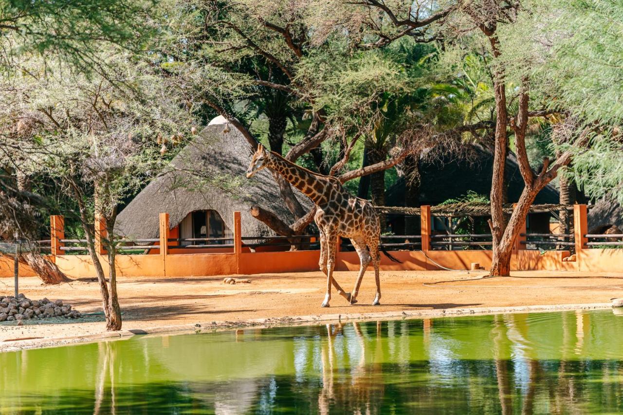 Omaruru Game Lodge Zewnętrze zdjęcie