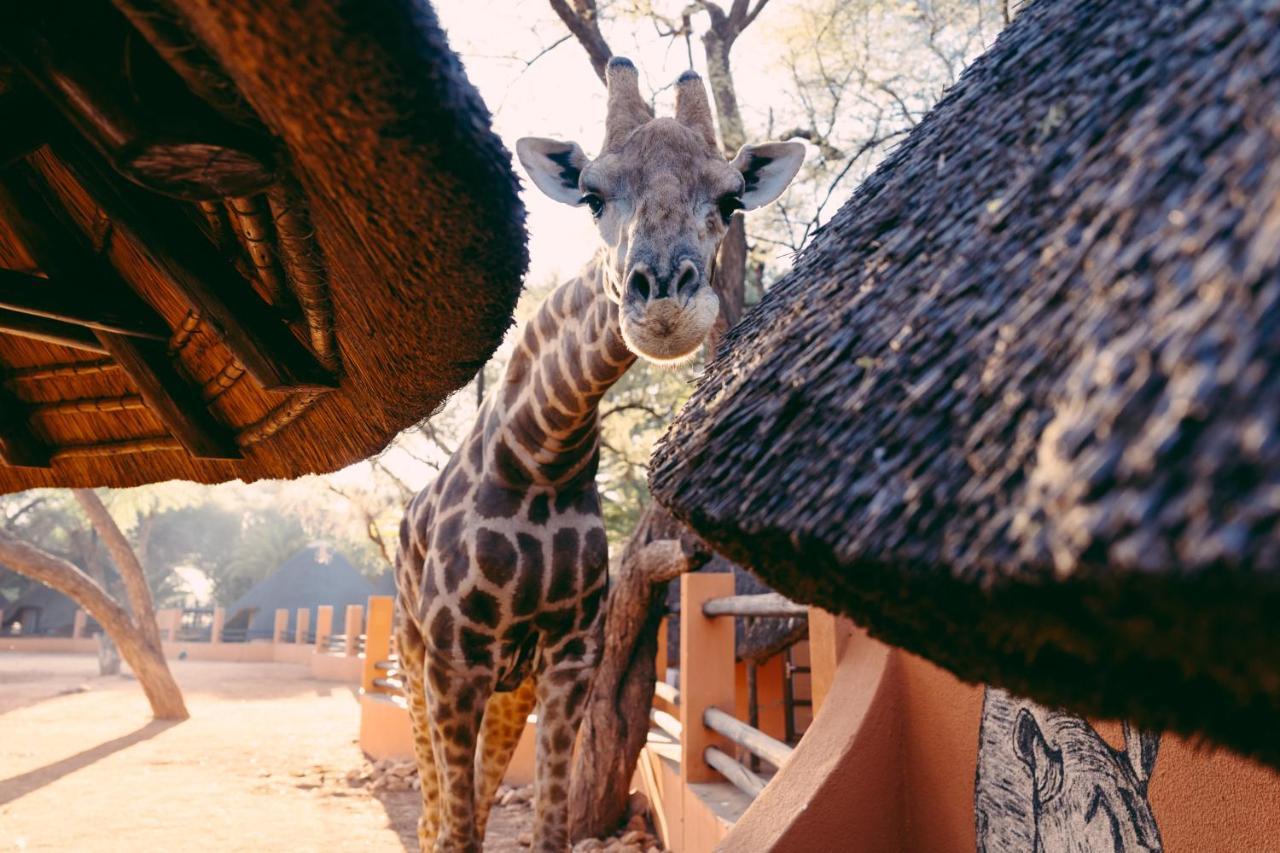 Omaruru Game Lodge Zewnętrze zdjęcie