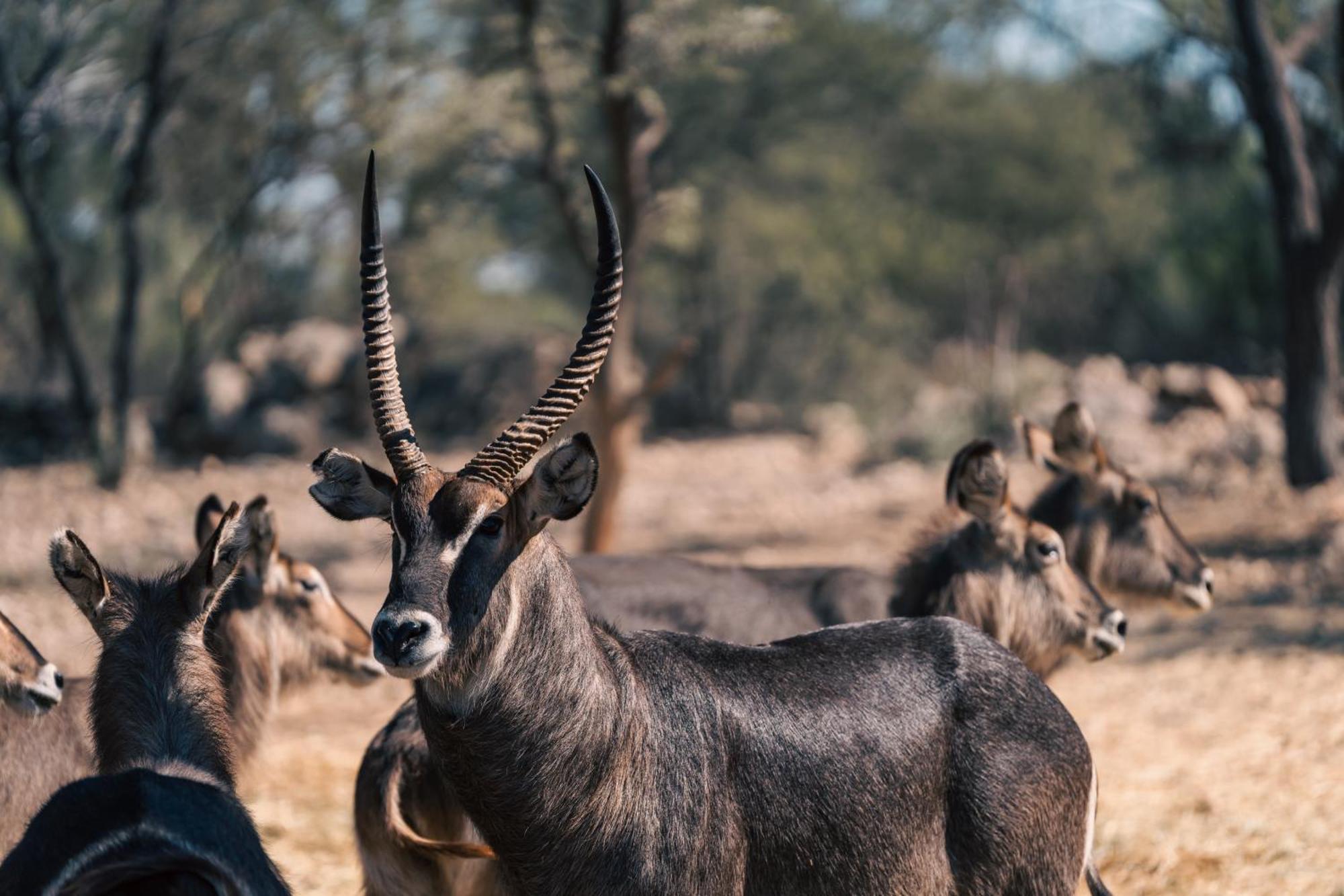 Omaruru Game Lodge Zewnętrze zdjęcie