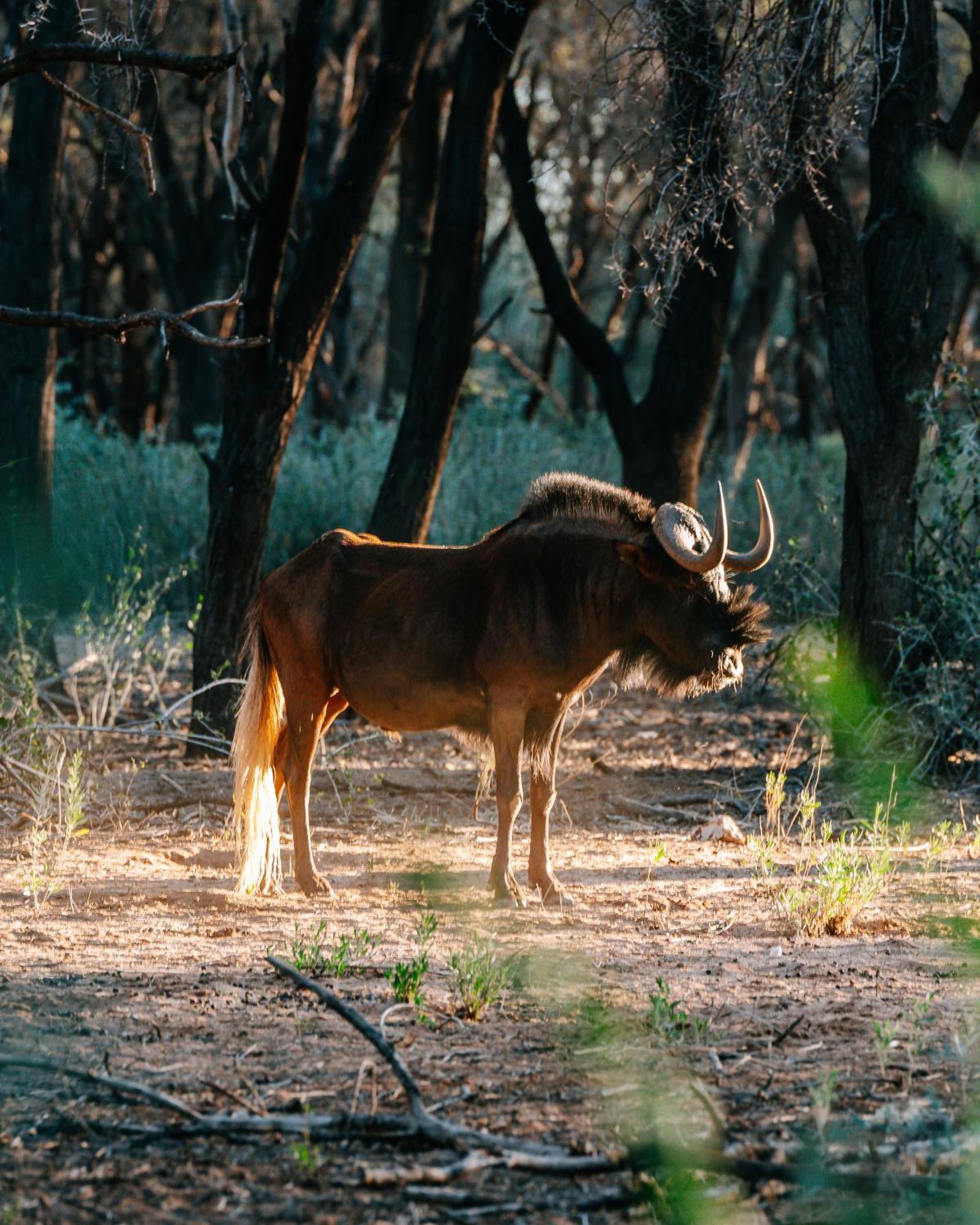 Omaruru Game Lodge Zewnętrze zdjęcie