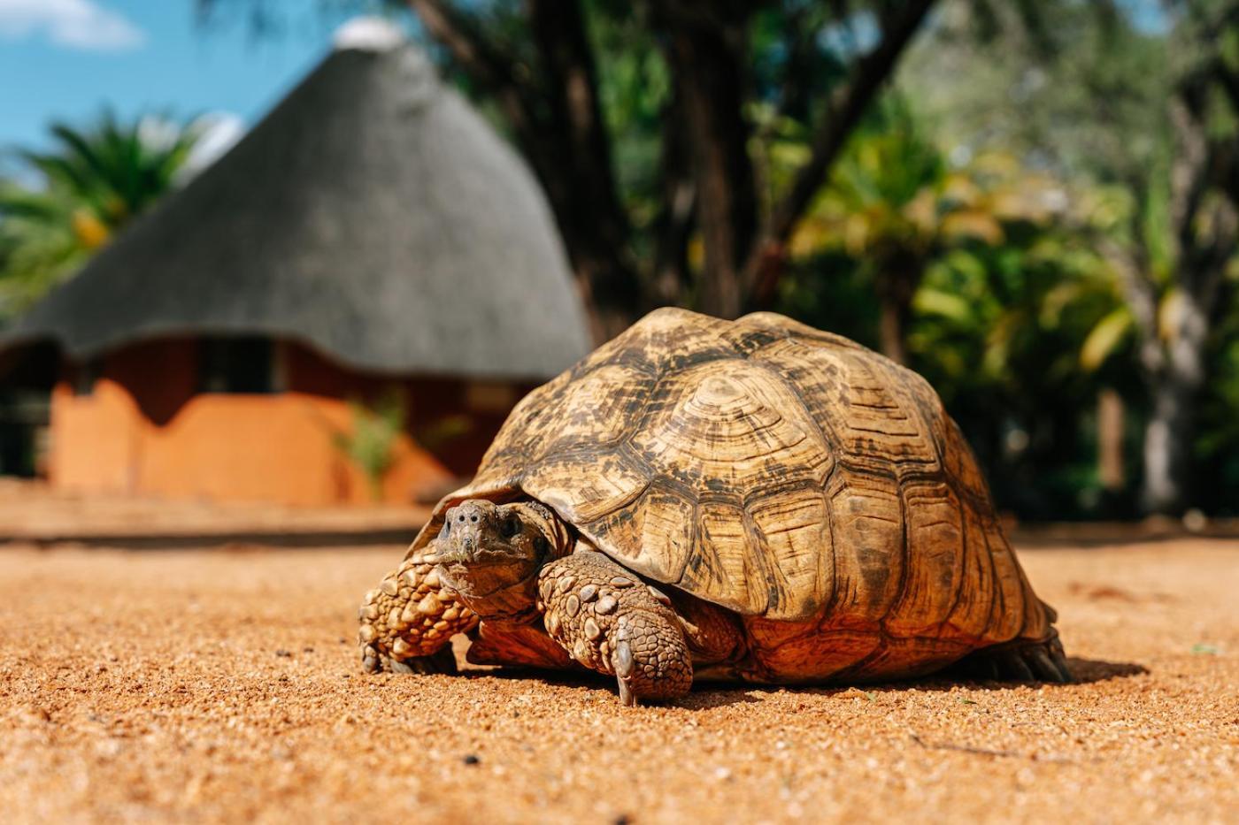 Omaruru Game Lodge Zewnętrze zdjęcie